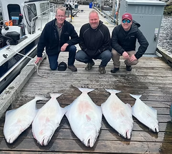 Impressive Port Renfrew halibut haul